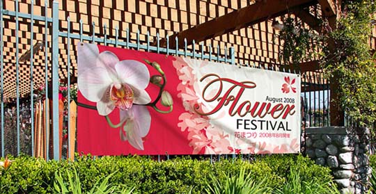 Full Colour Banners