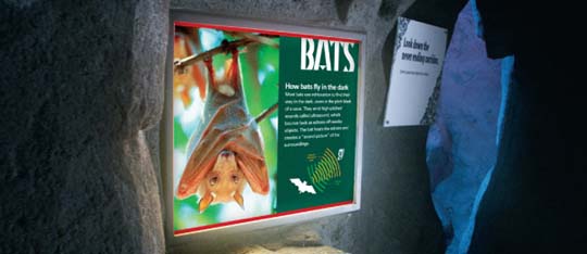 Full Colour Printed Signs