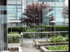 Roof Patio - Window Decals - Pool & Gym Regulation Signs