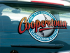 Cooperstown Chiropractic - Vehicle Decal